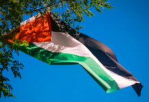 Corbeil-Essonnes : le maire offre des drapeaux palestiniens aux habitants pour soutenir la reconnaissance de la Palestine – LINFO.re