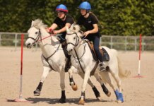 Le Grand Tournoi, rendez-vous fédéral des sports équestres collectifs, continue à se développer