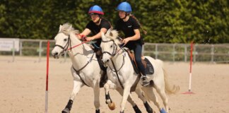Le Grand Tournoi, rendez-vous fédéral des sports équestres collectifs, continue à se développer