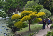 Nos cinq idées de sorties à Cholet et ses alentours pour ce week-end du 11 novembre