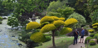 Nos cinq idées de sorties à Cholet et ses alentours pour ce week-end du 11 novembre