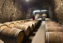 les entreprises françaises face au « feuilleton » des droits de douane