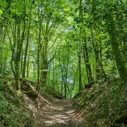Randonnée guidée - Le sentier des petits ruisseaux