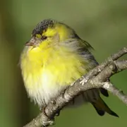 Sortie Bords De Vienne