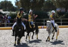 EQUITATION : Pleins feux sur les championnats de France des sports équestres collectifs
