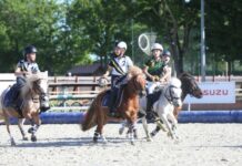 Équitation : le Grand Tournoi fête ses 20 ans et va réunir 2 500 cavaliers au Parc équestre fédéral