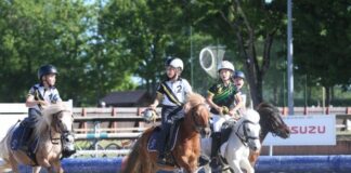Équitation : le Grand Tournoi fête ses 20 ans et va réunir 2 500 cavaliers au Parc équestre fédéral