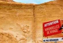 Cemex France confirme ses engagements environnementaux