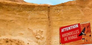 Cemex France confirme ses engagements environnementaux